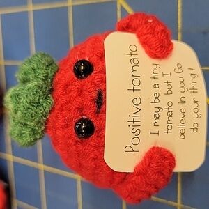 Positive Tomato I May Be A Tiny Tomato But I Believe In You Go Do Your Thing 2"